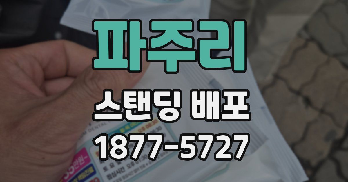 파주리 스탠딩 배포