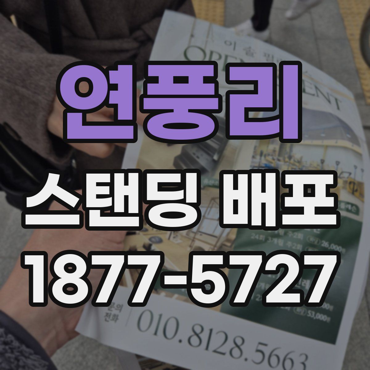 연풍리 스탠딩 배포