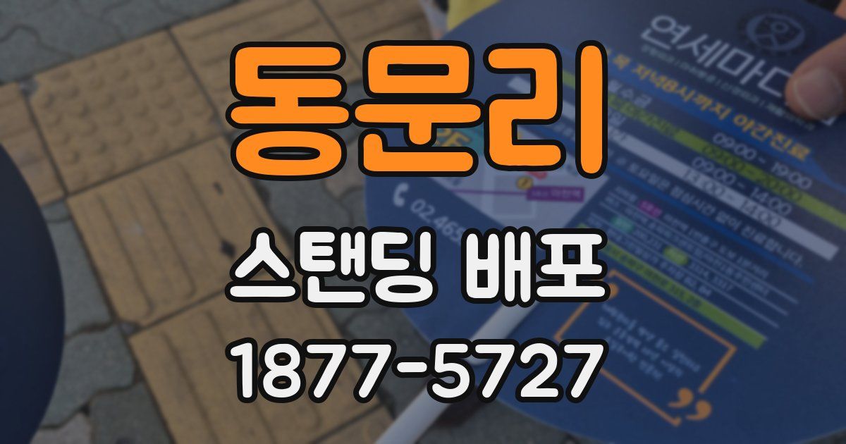 동문리 스탠딩 배포