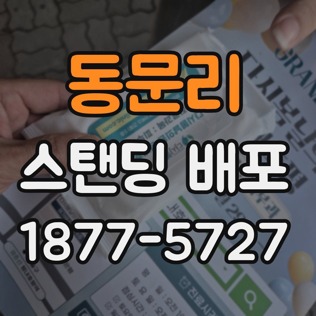 동문리 스탠딩 배포