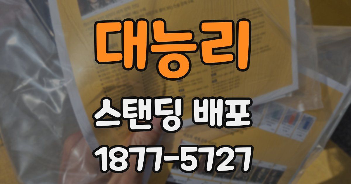 대능리 스탠딩 배포