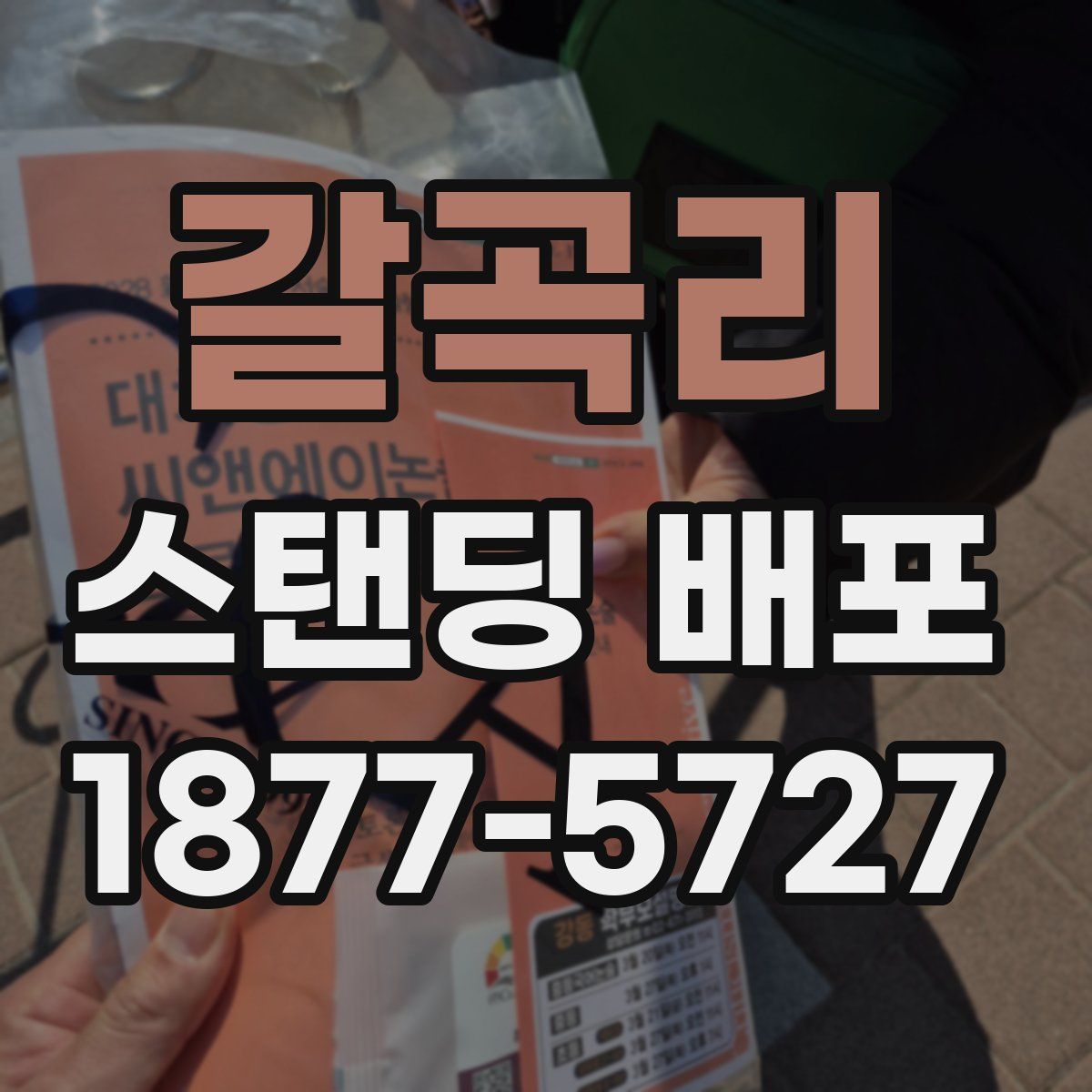 갈곡리 스탠딩 배포