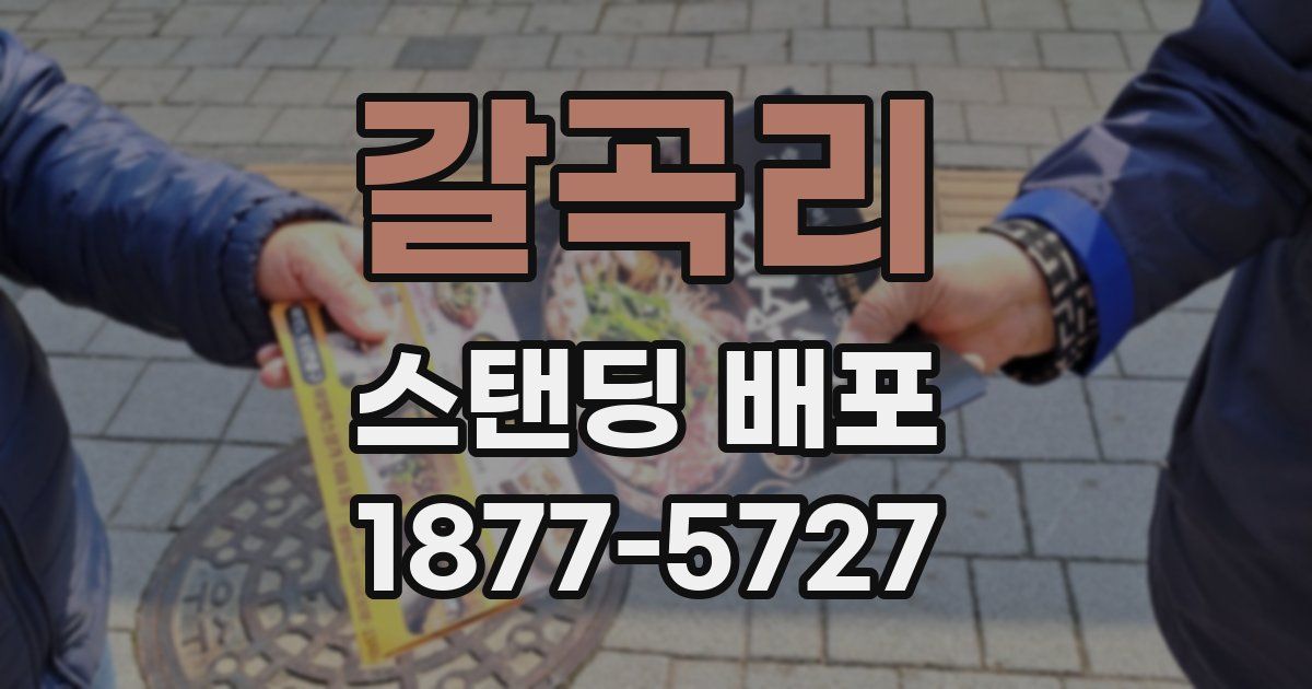 갈곡리 스탠딩 배포