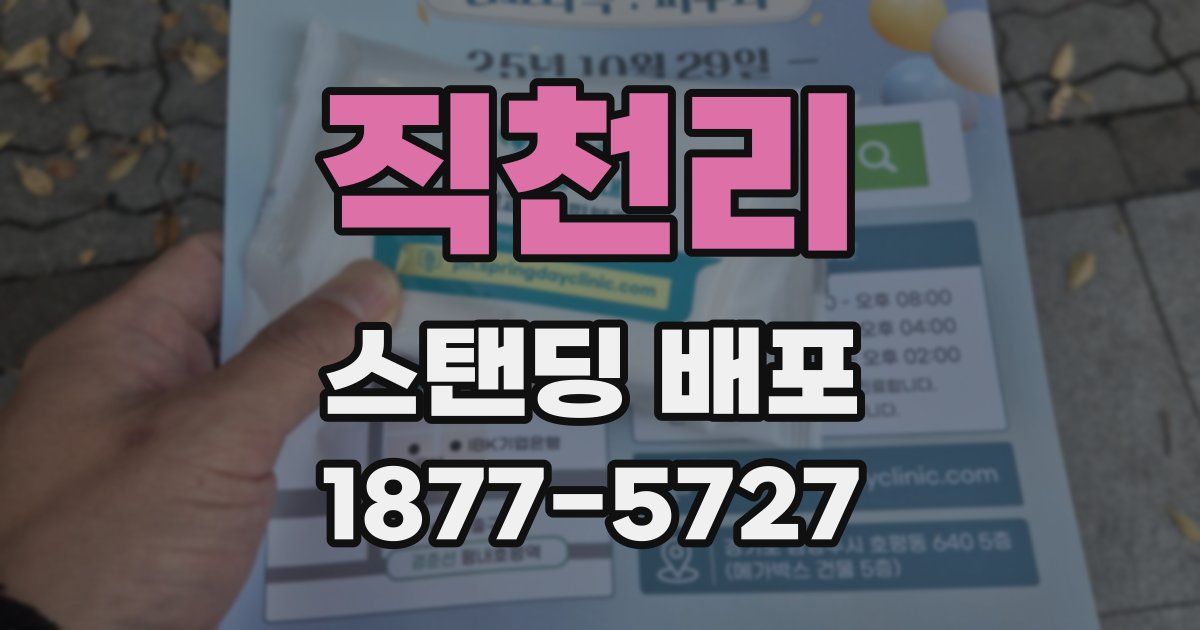직천리 스탠딩 배포