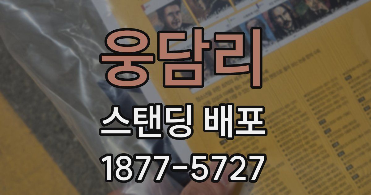 웅담리 스탠딩 배포