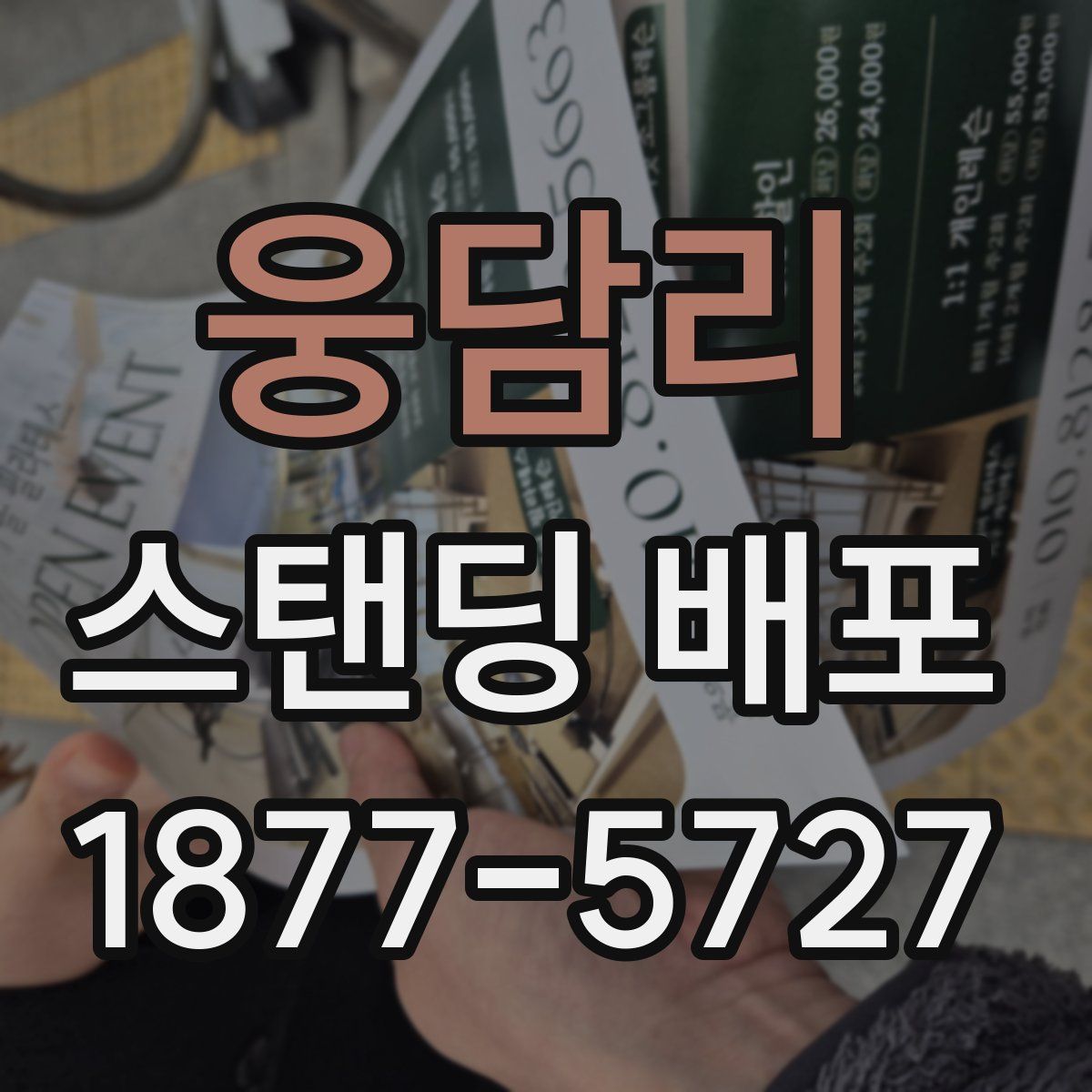 웅담리 스탠딩 배포
