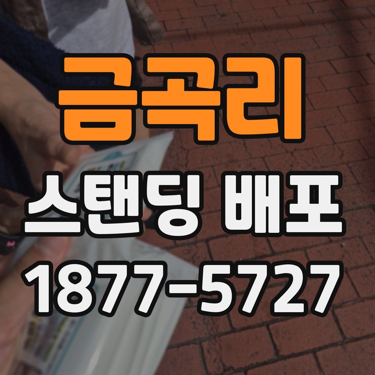 금곡리 스탠딩 배포