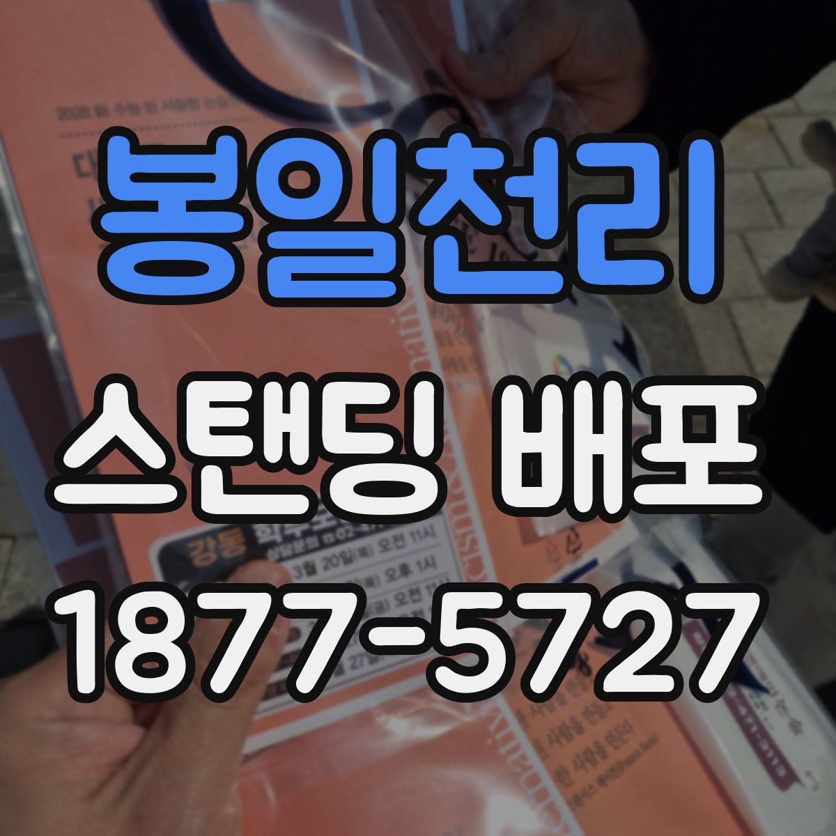 봉일천리 스탠딩 배포