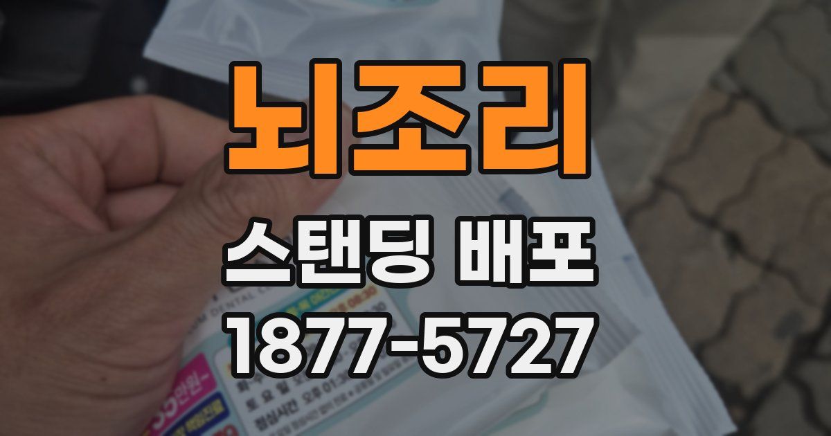 뇌조리 스탠딩 배포