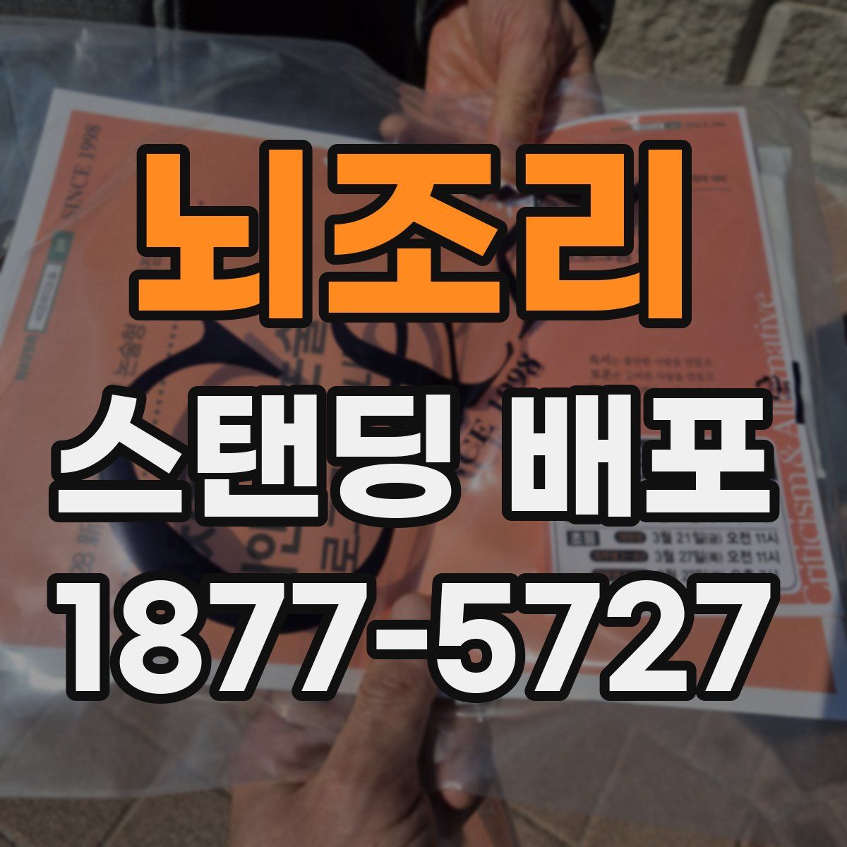 뇌조리 스탠딩 배포