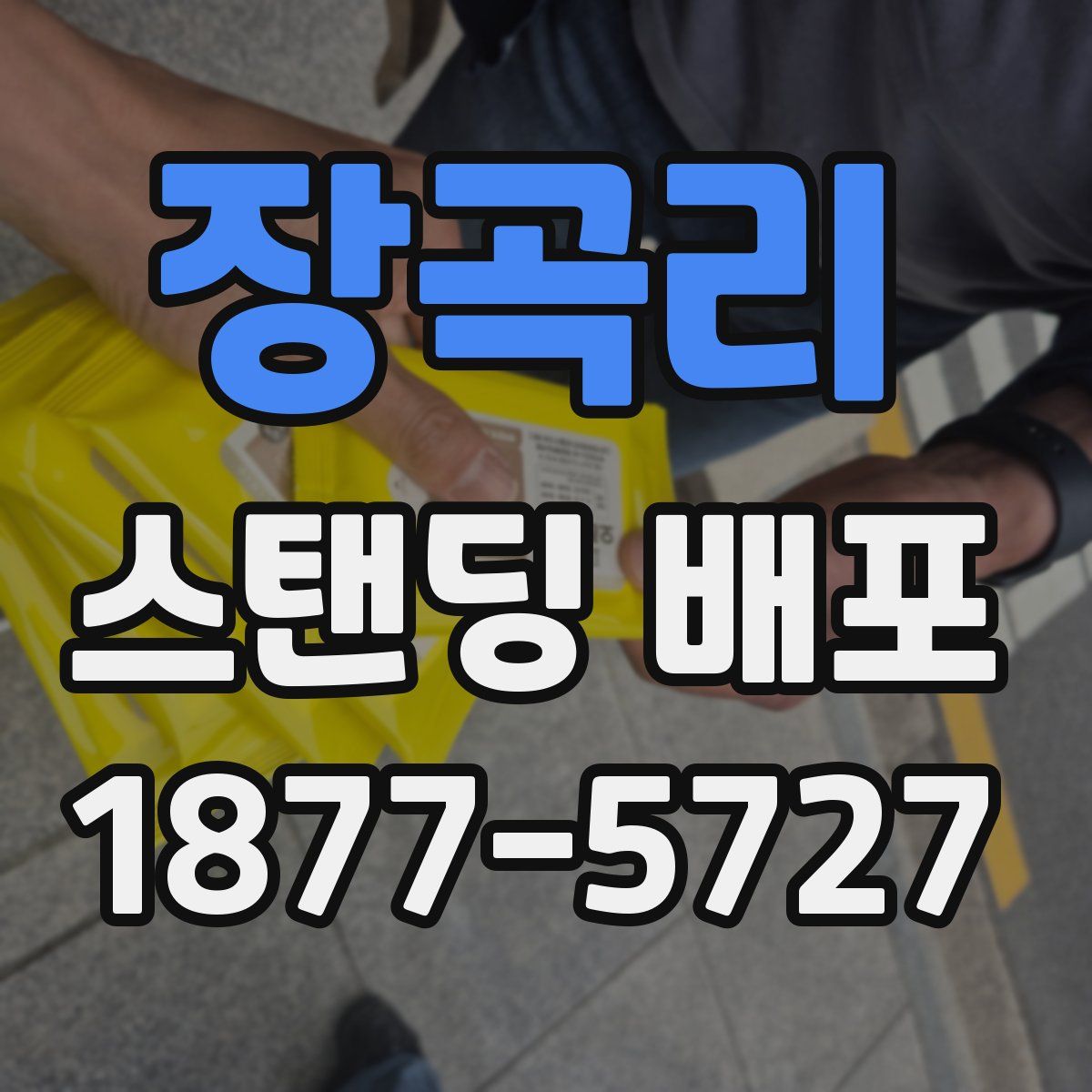 장곡리 스탠딩 배포