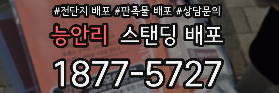 능안리 스탠딩 배포