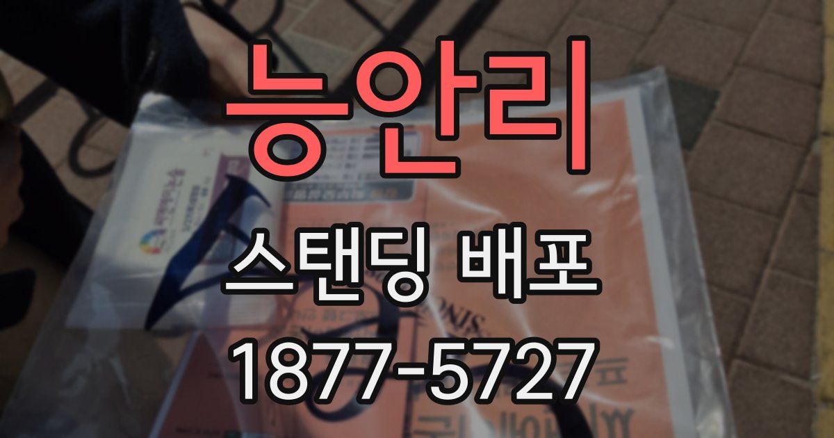능안리 스탠딩 배포