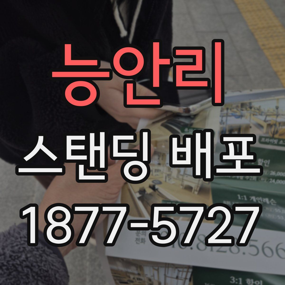 능안리 스탠딩 배포
