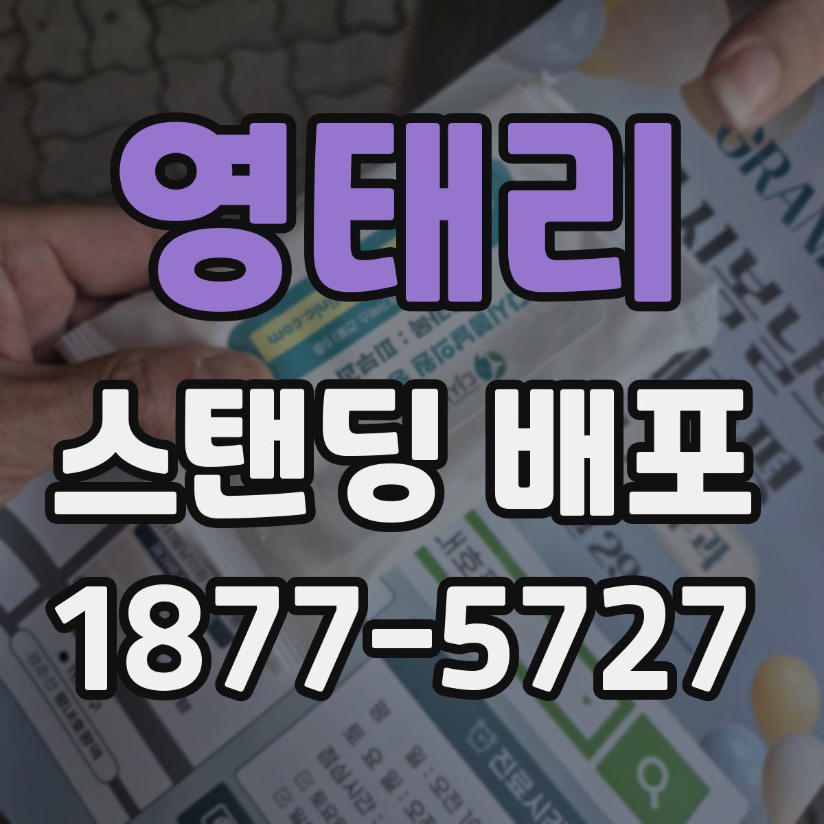 영태리 스탠딩 배포