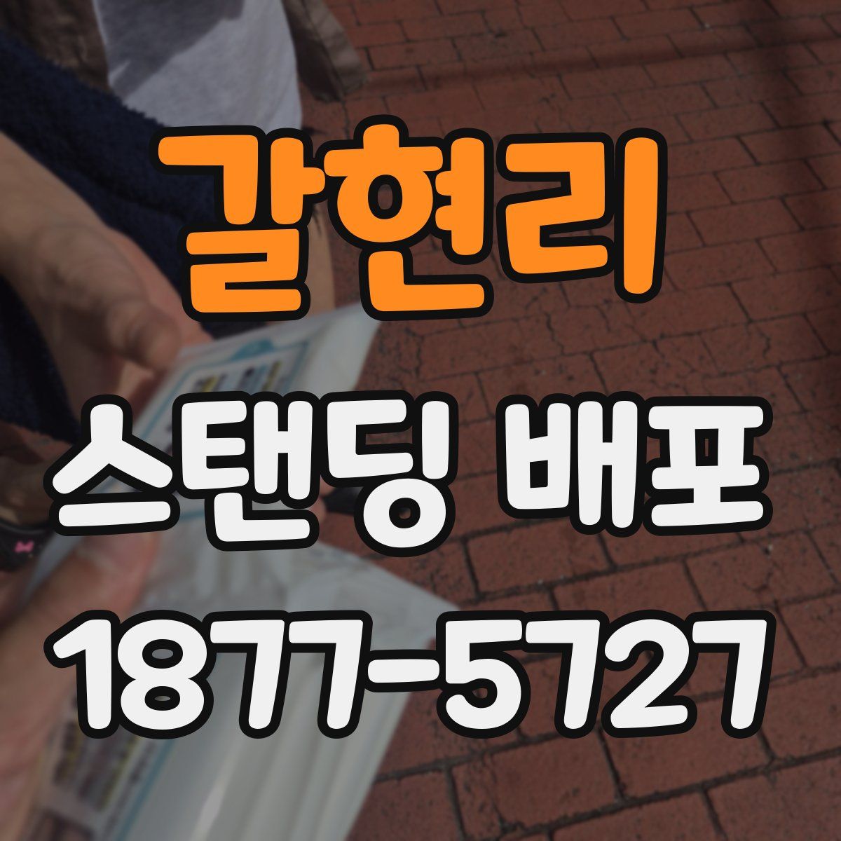 갈현리 스탠딩 배포
