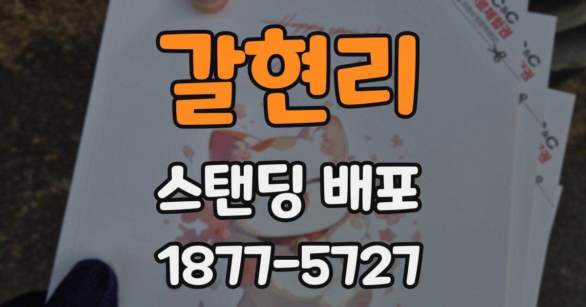 갈현리 스탠딩 배포