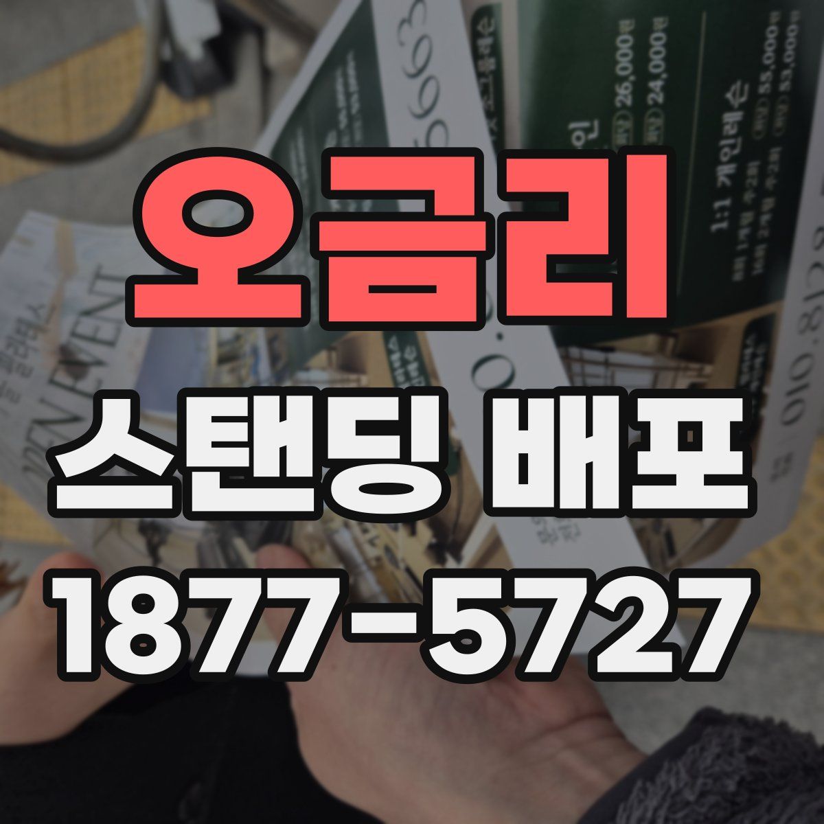 오금리 스탠딩 배포