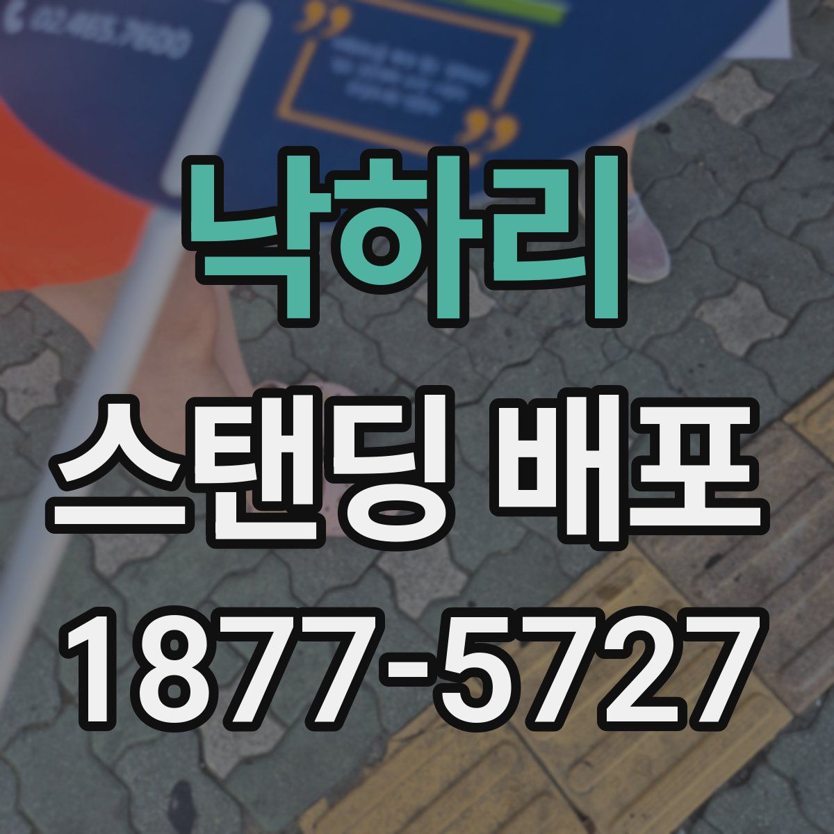낙하리 스탠딩 배포