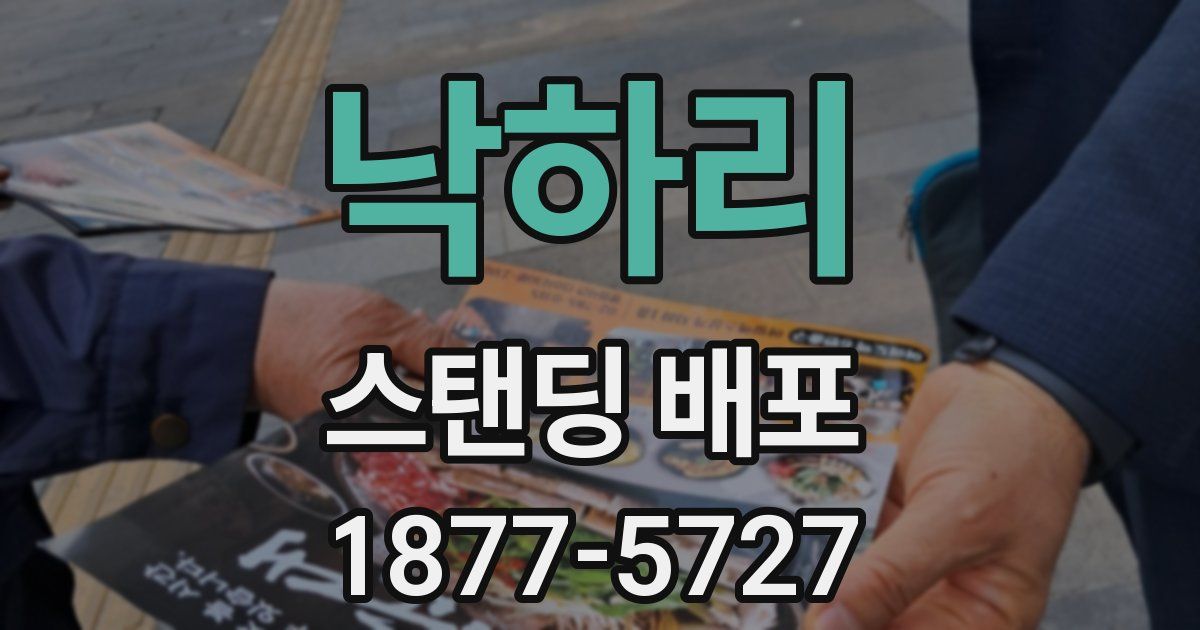 낙하리 스탠딩 배포