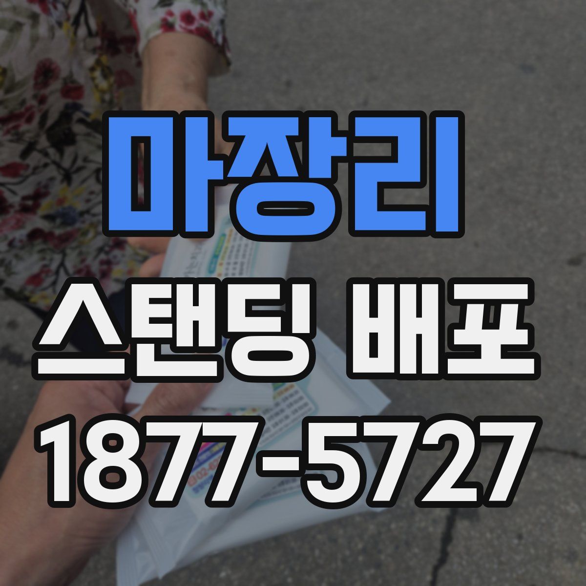 마장리 스탠딩 배포