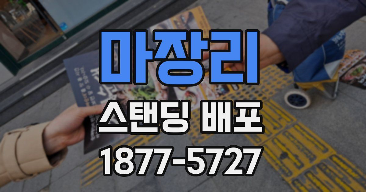 마장리 스탠딩 배포