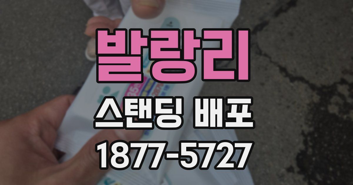 발랑리 스탠딩 배포
