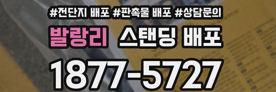 발랑리 스탠딩 배포