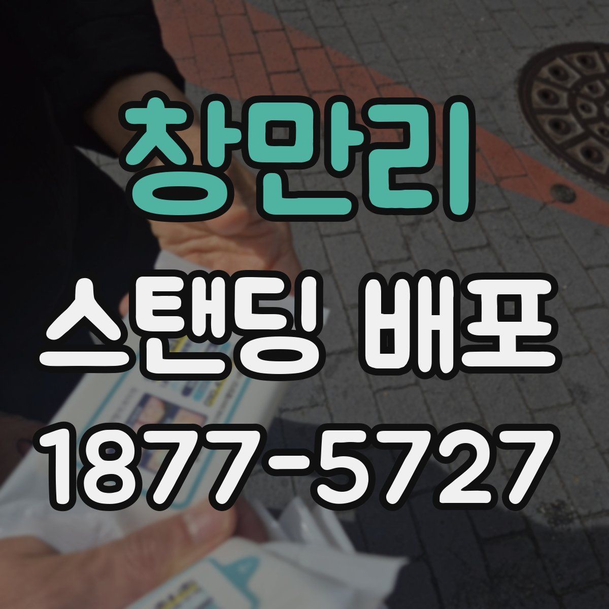 창만리 스탠딩 배포