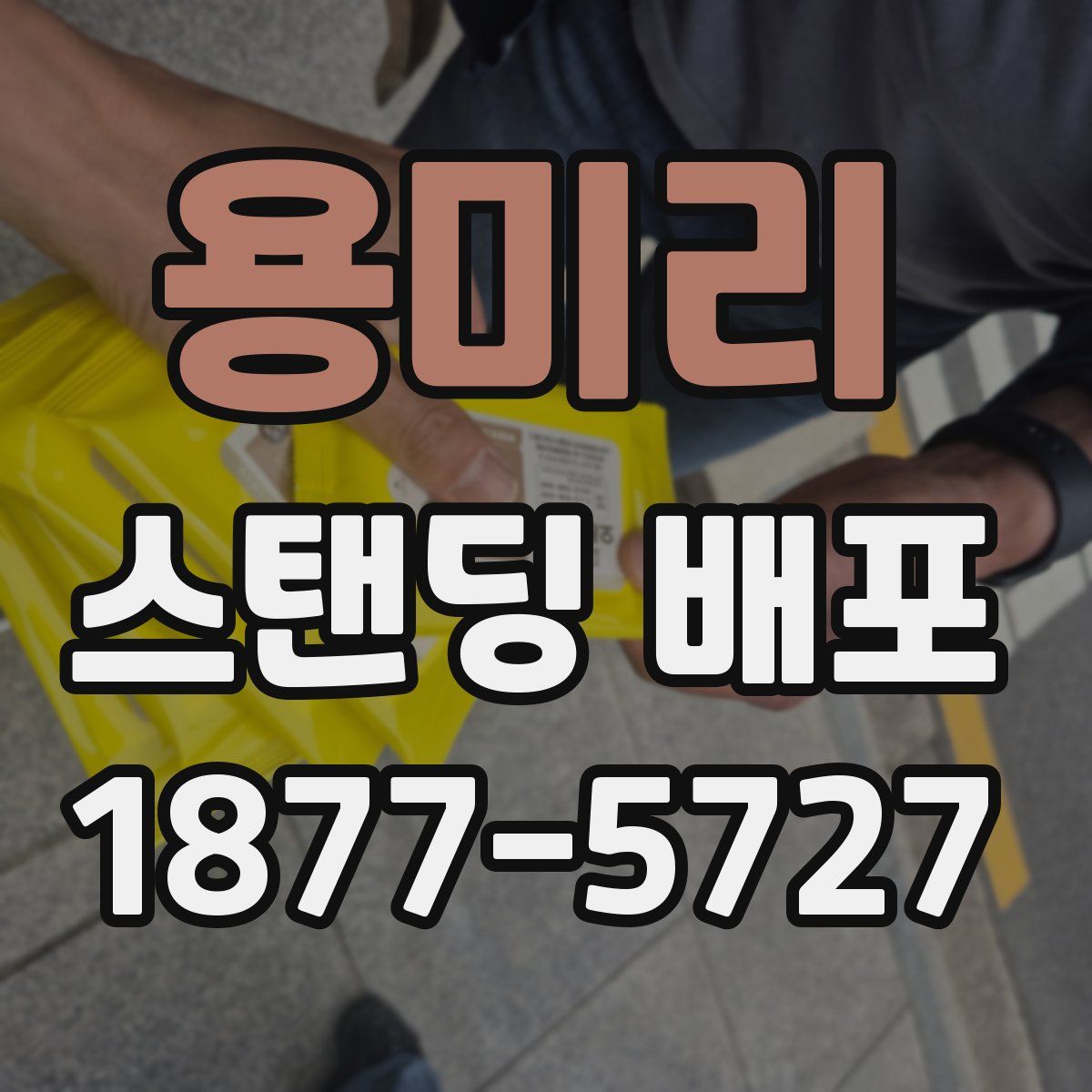 용미리 스탠딩 배포