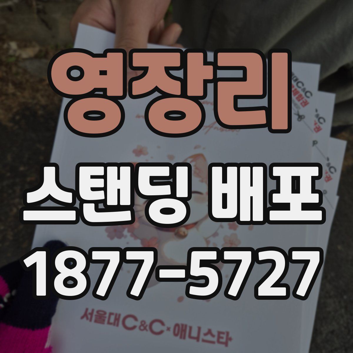 영장리 스탠딩 배포