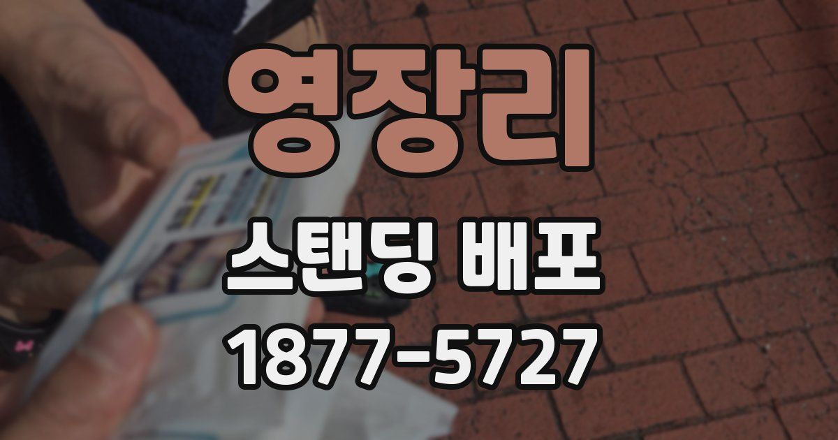 영장리 스탠딩 배포