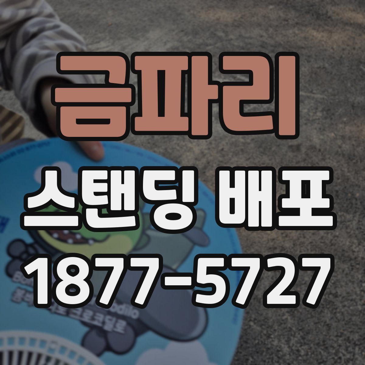 금파리 스탠딩 배포