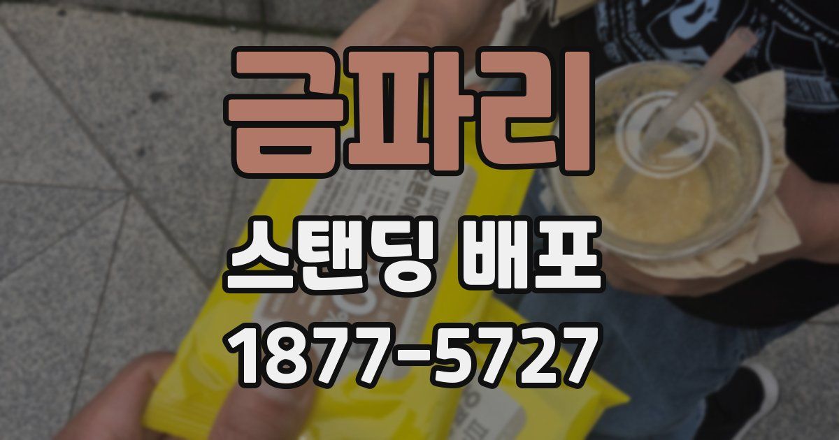 금파리 스탠딩 배포