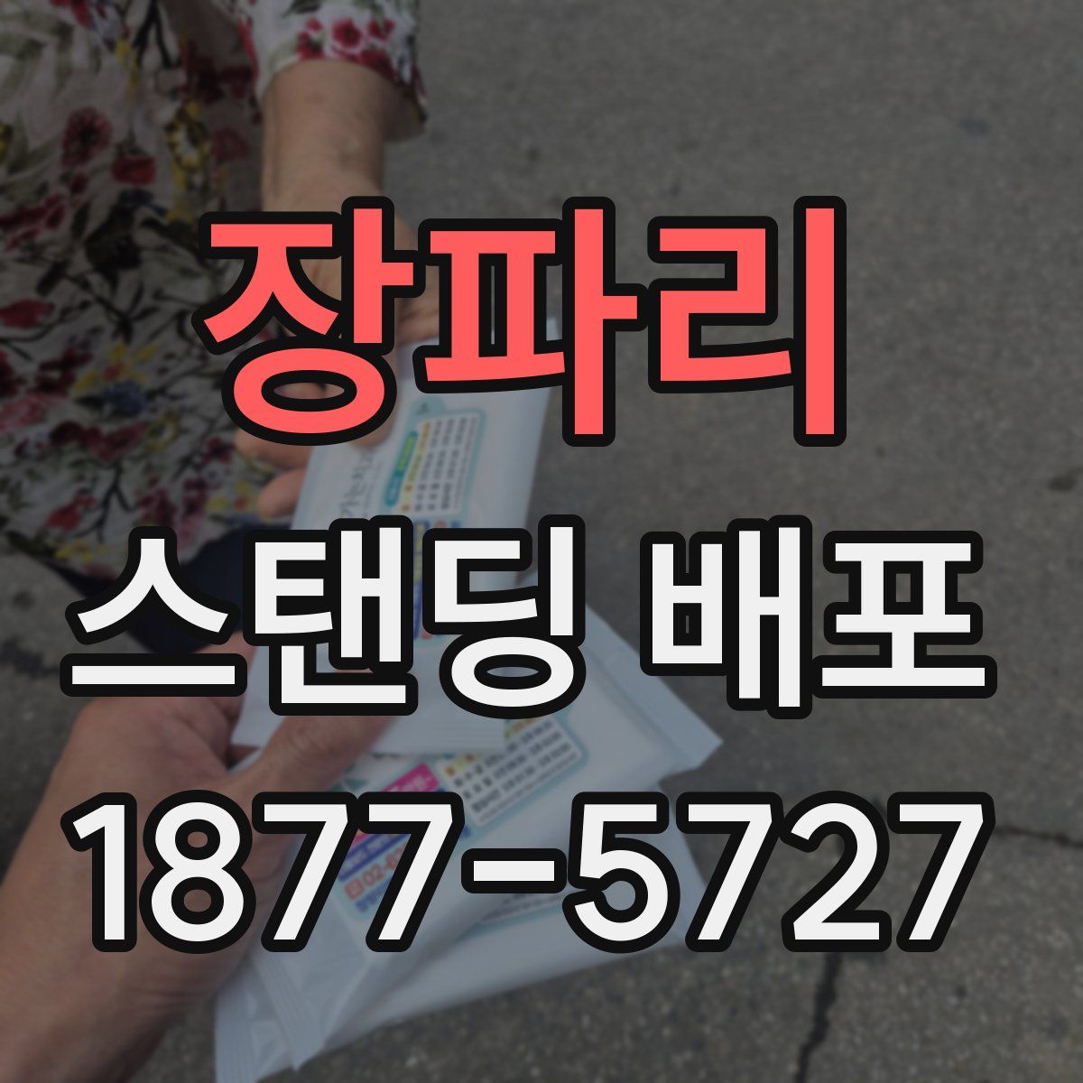 장파리 스탠딩 배포