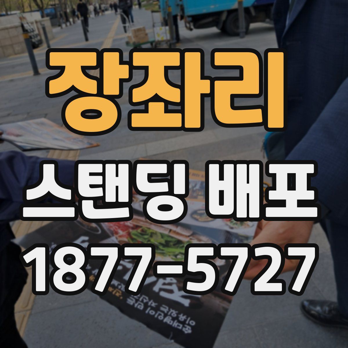 장좌리 스탠딩 배포