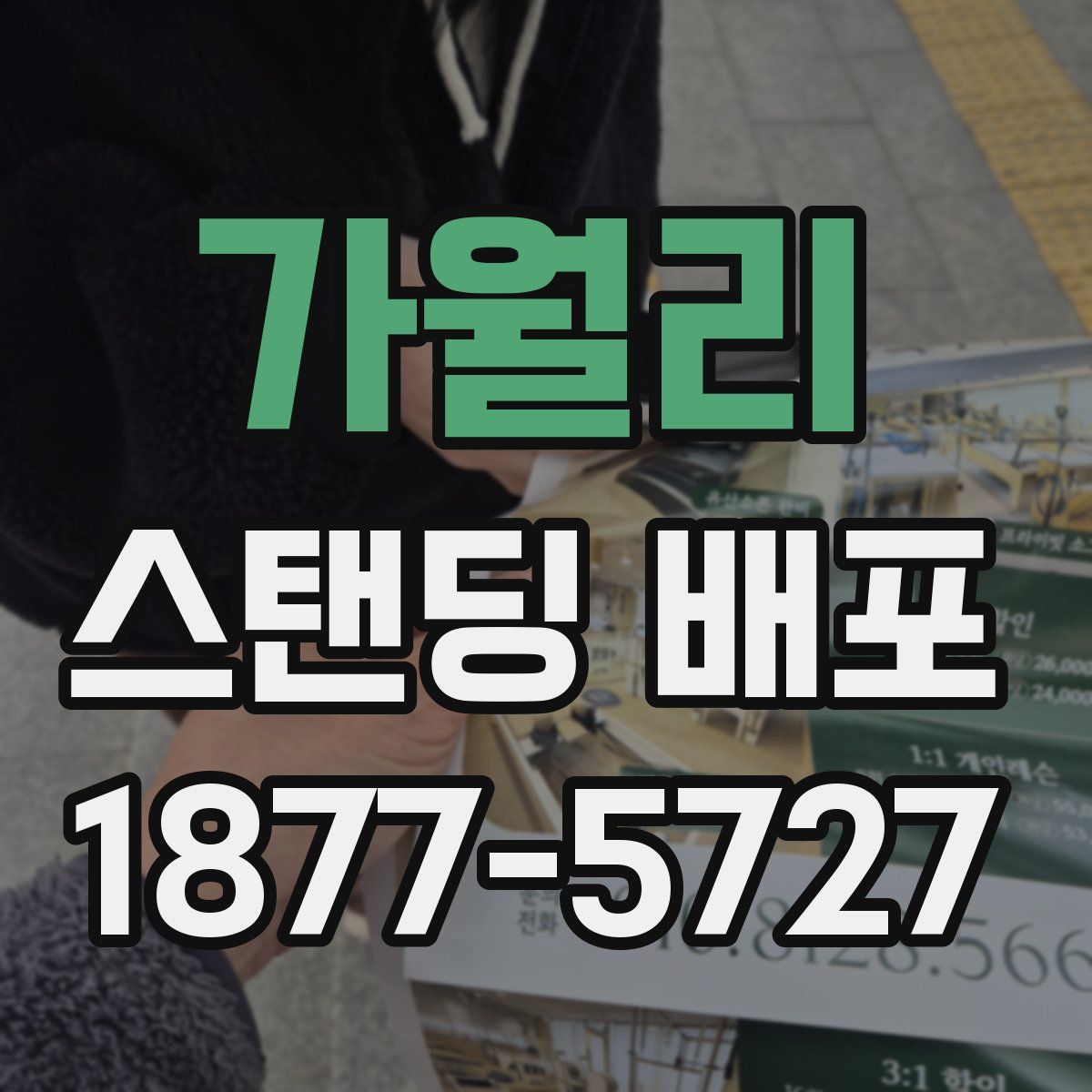 가월리 스탠딩 배포