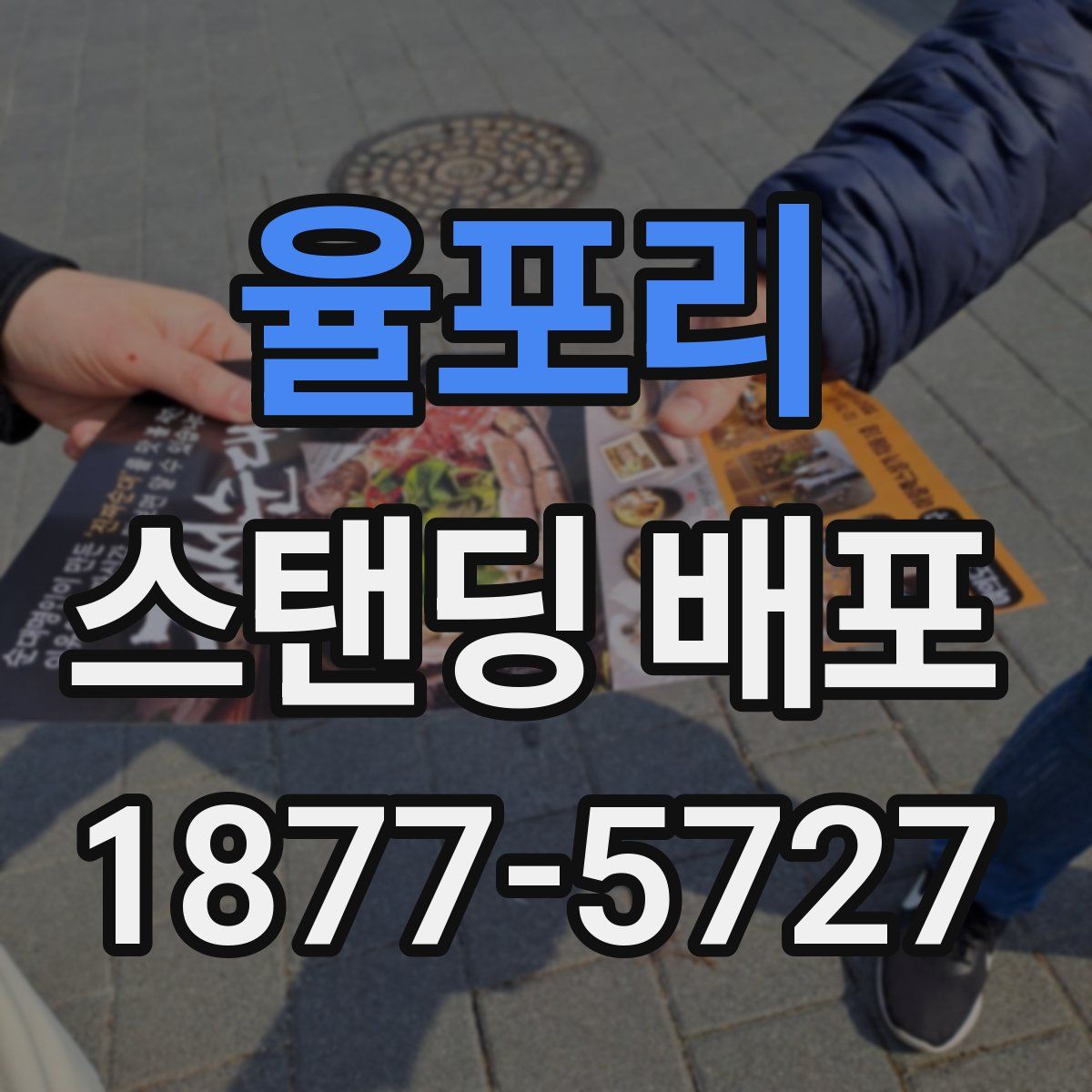 율포리 스탠딩 배포