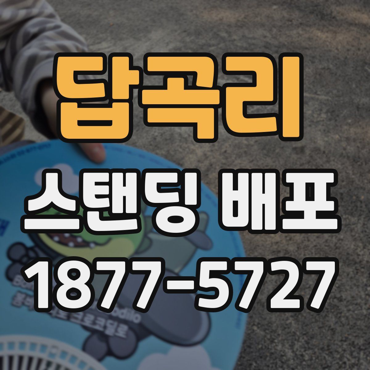 답곡리 스탠딩 배포