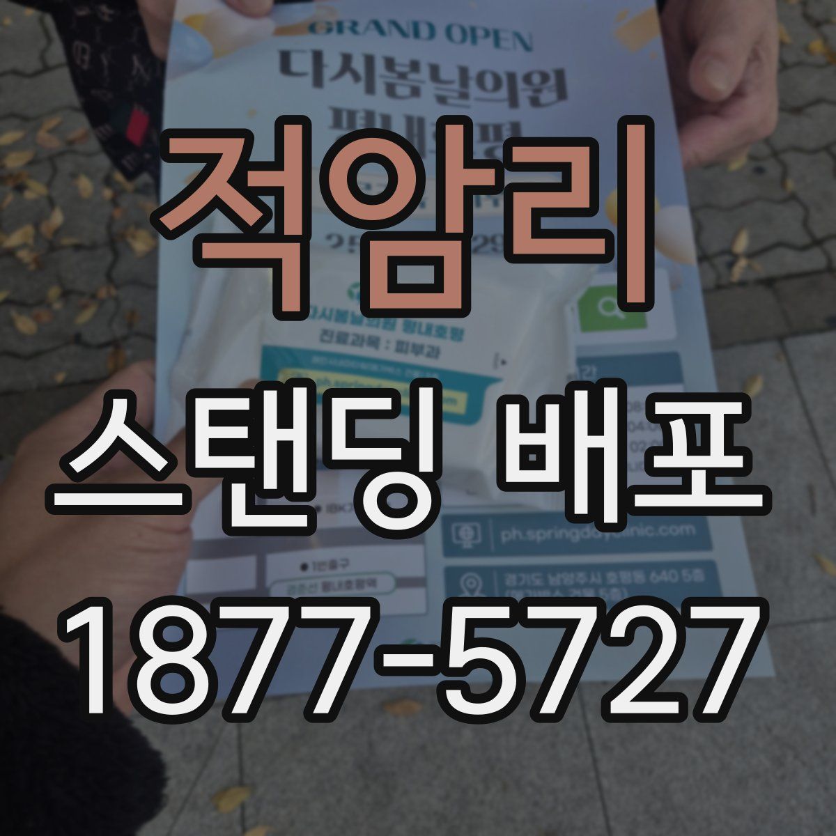 적암리 스탠딩 배포