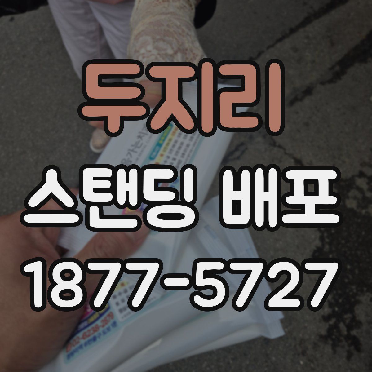 두지리 스탠딩 배포