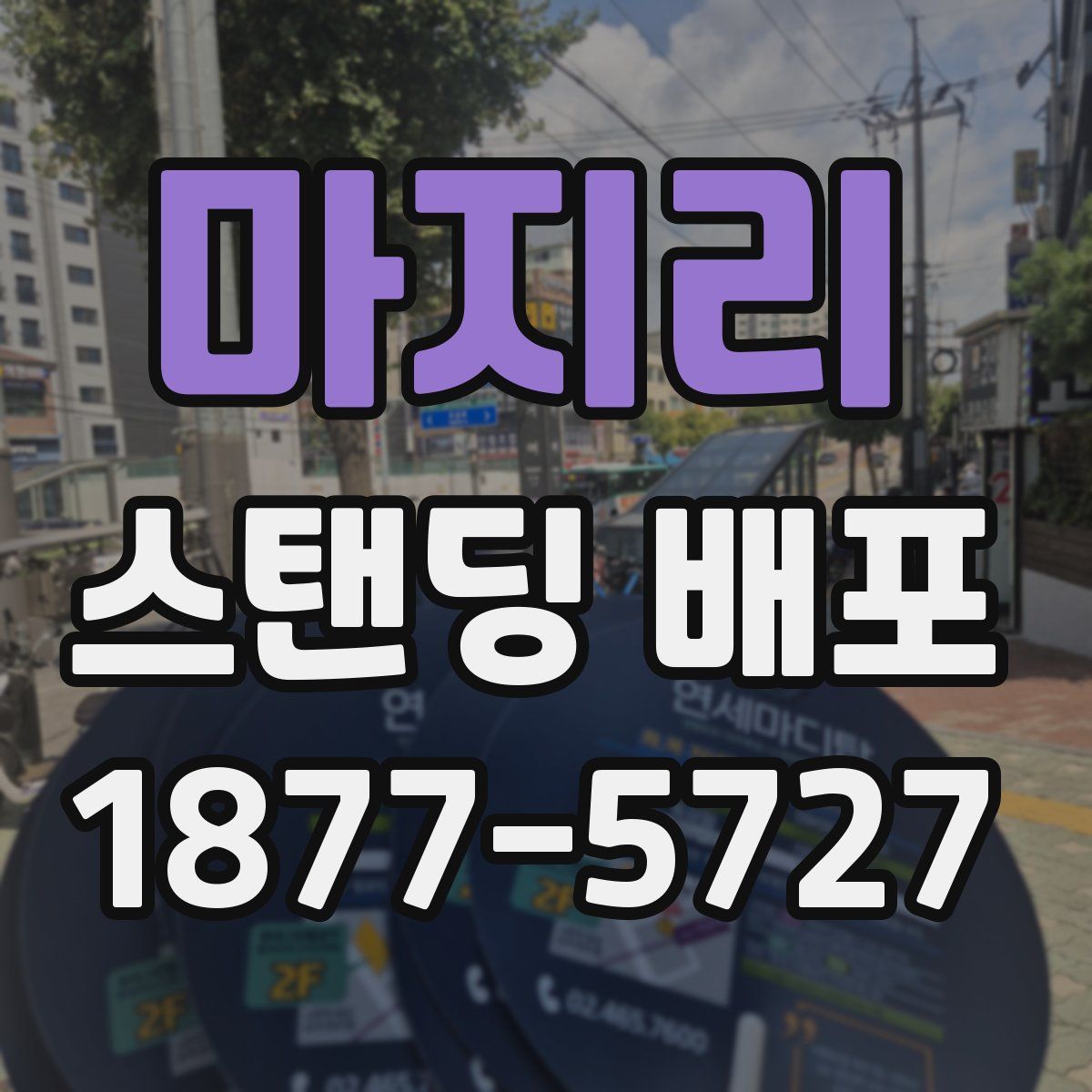 마지리 스탠딩 배포