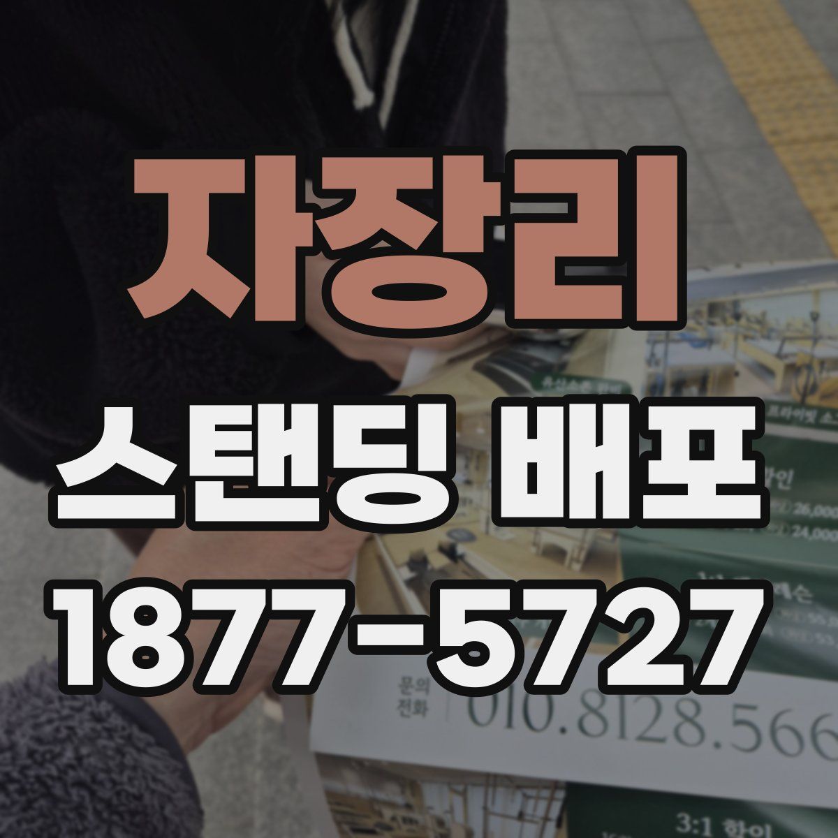 자장리 스탠딩 배포