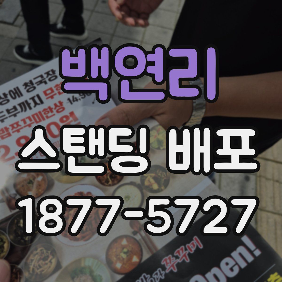 백연리 스탠딩 배포