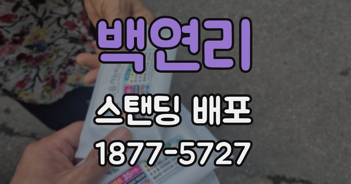 백연리 스탠딩 배포