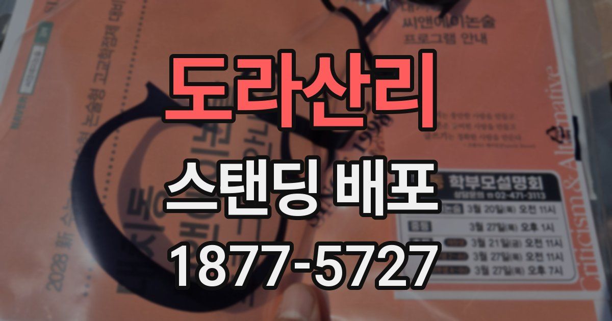 도라산리 스탠딩 배포
