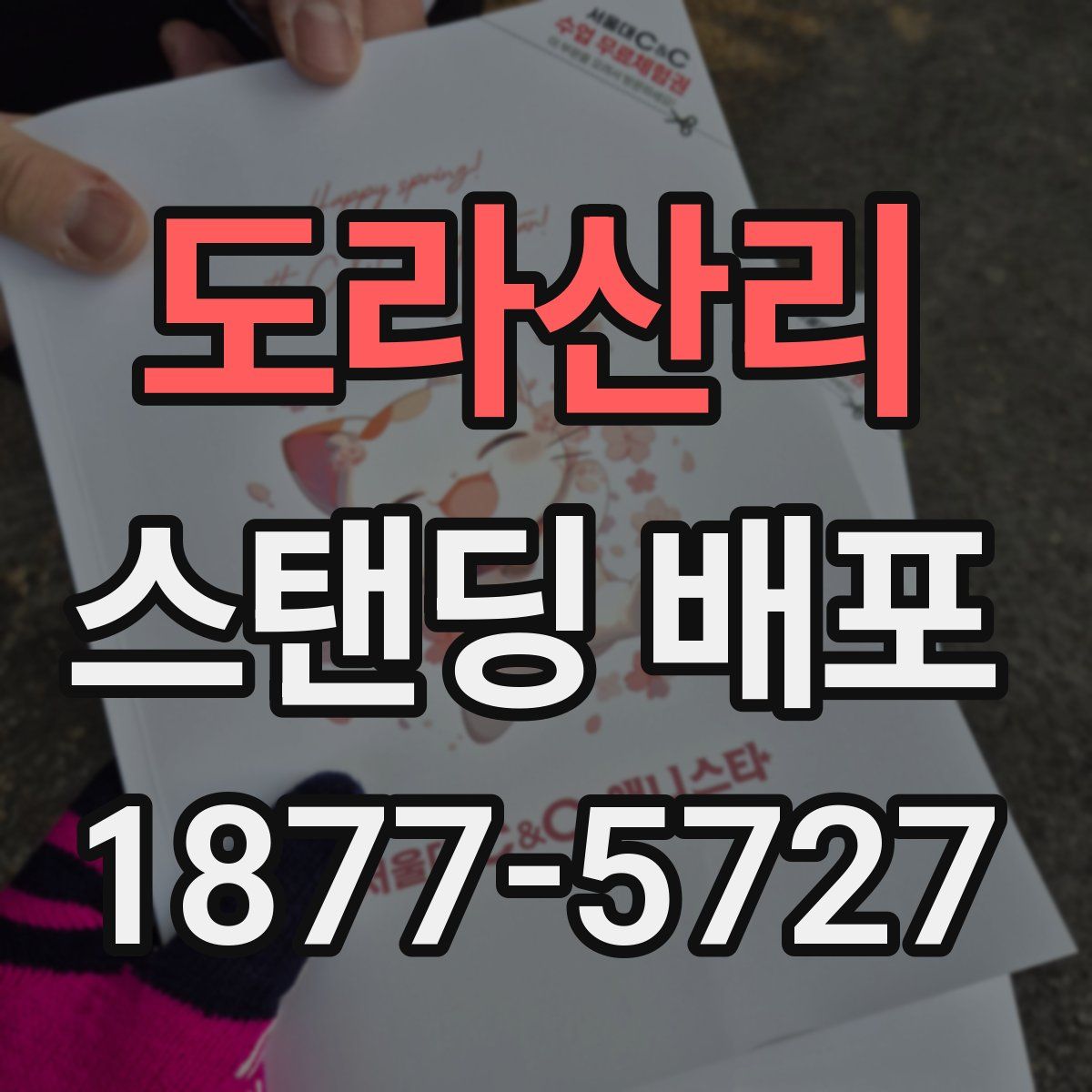 도라산리 스탠딩 배포