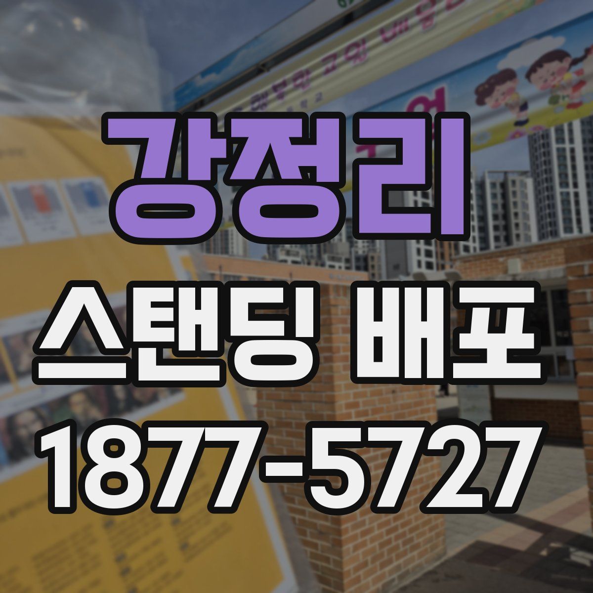 강정리 스탠딩 배포