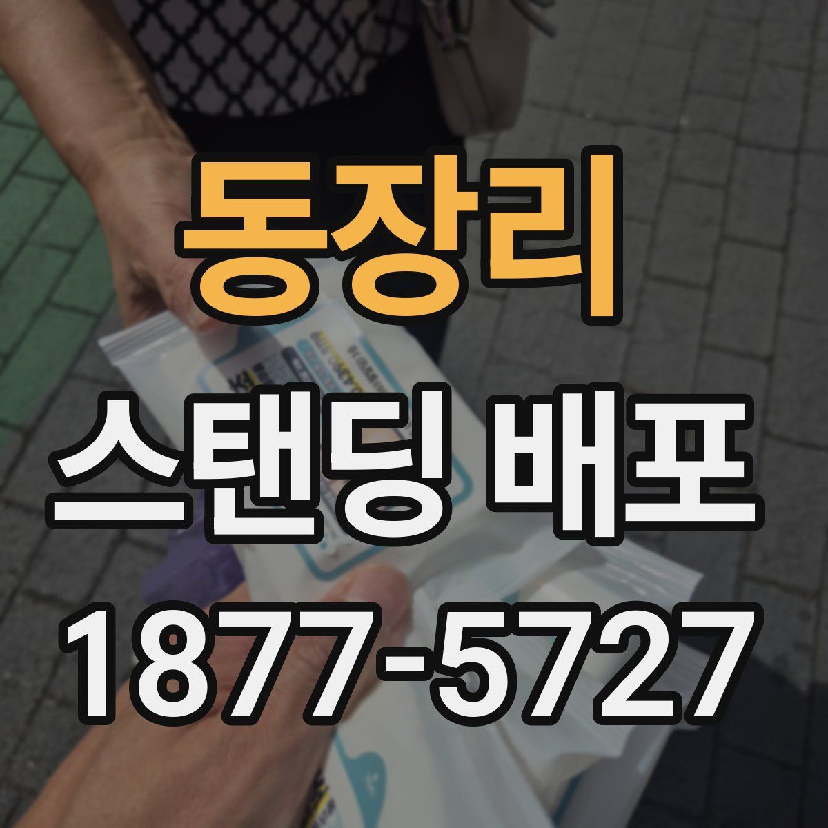 동장리 스탠딩 배포