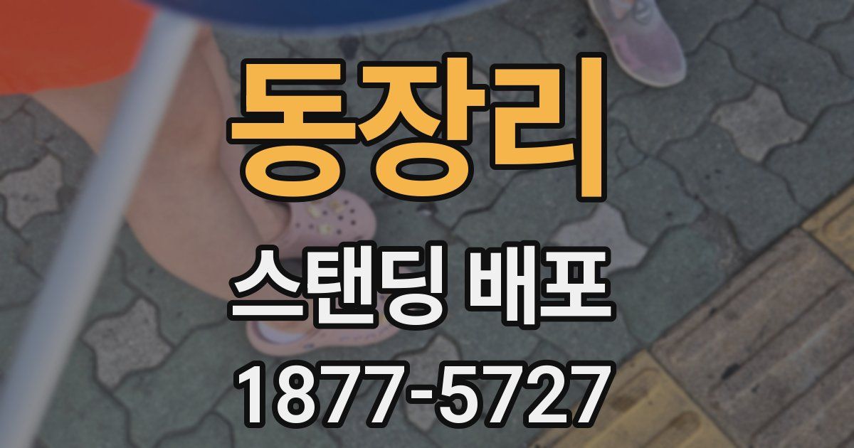 동장리 스탠딩 배포